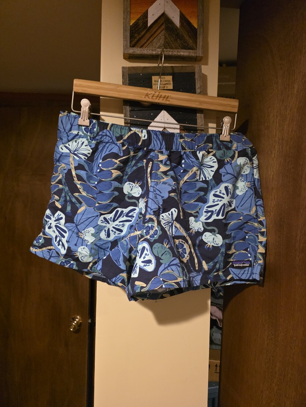 Patagonia Barely Baggies Shorts